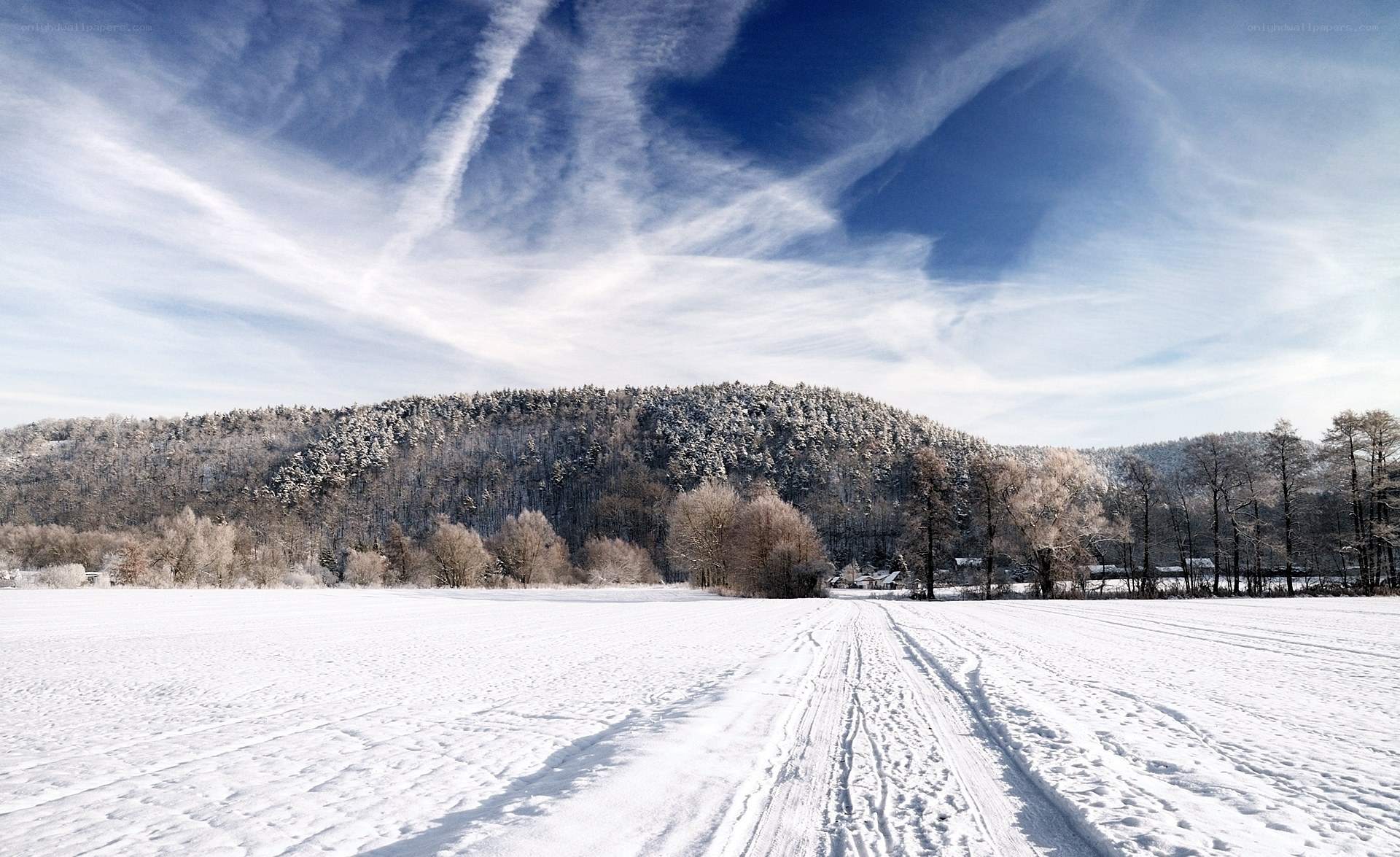 Snowy field with forested hill