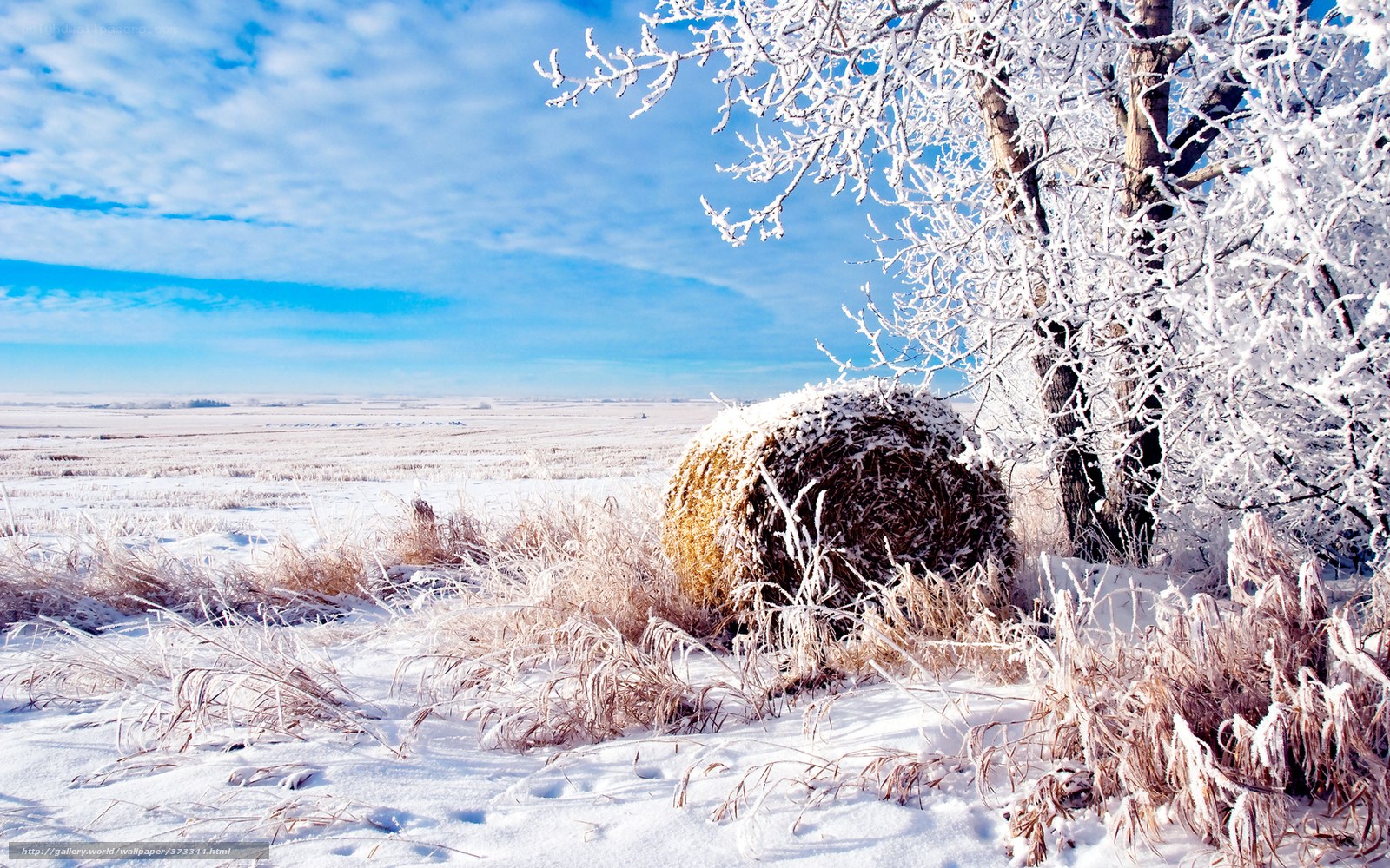 Snowy field with hay bale
