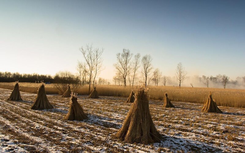 Snowy field with hay stacks