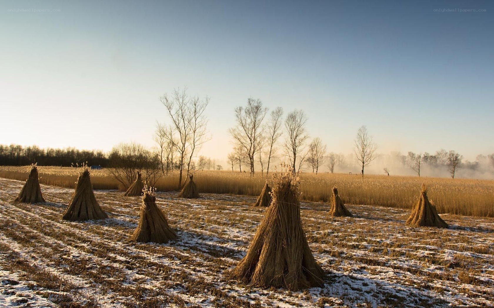 Snowy field with hay stacks