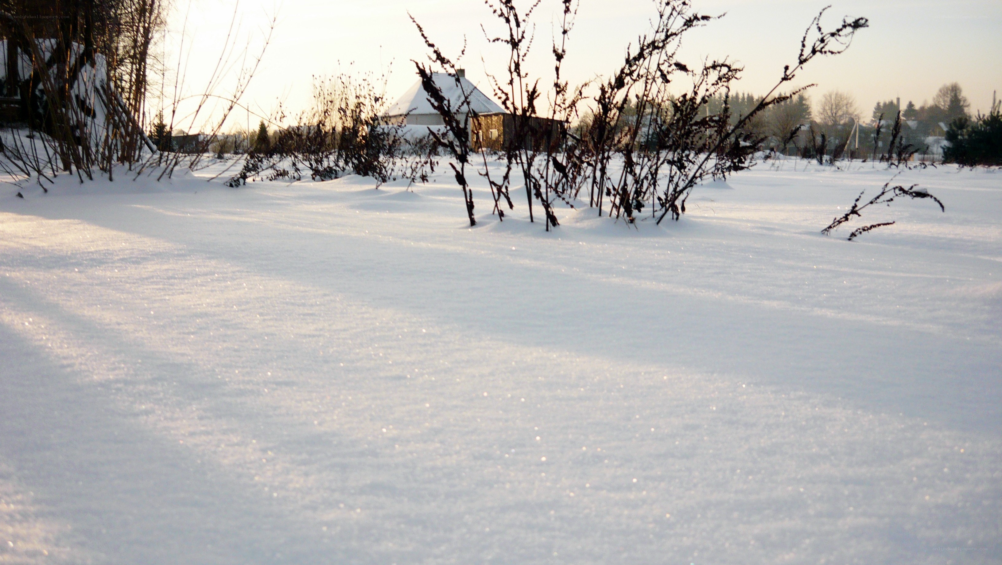 snowy field with house in distance