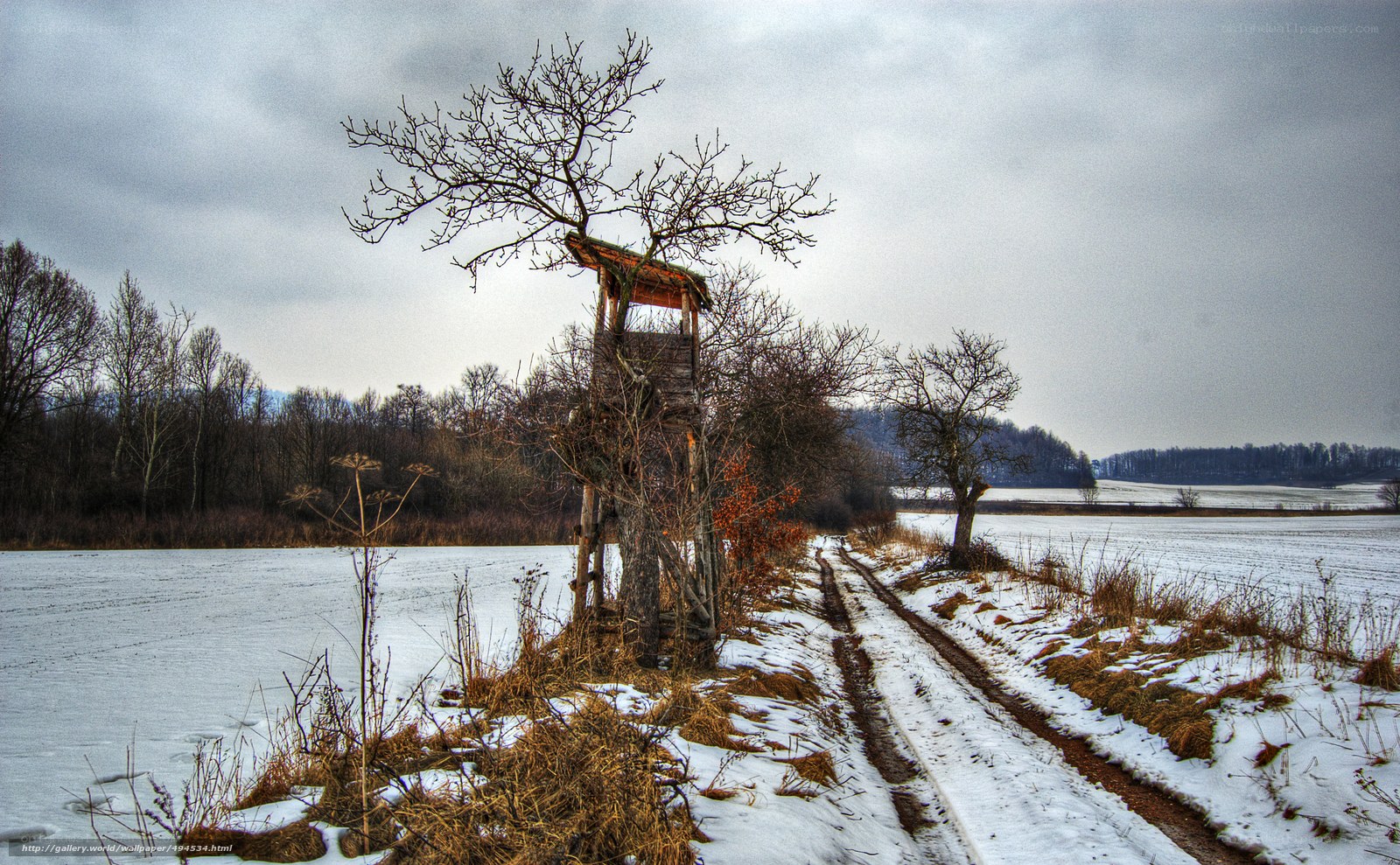 Snowy field with hunting tower