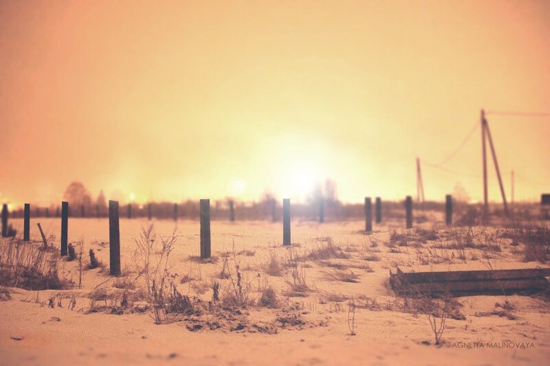 Snowy Field with Posts