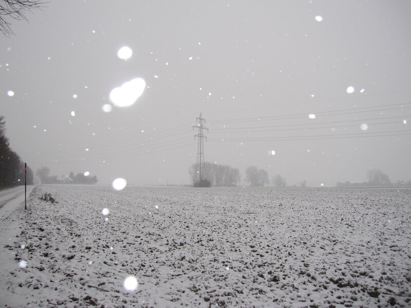 Snowy field with power lines
