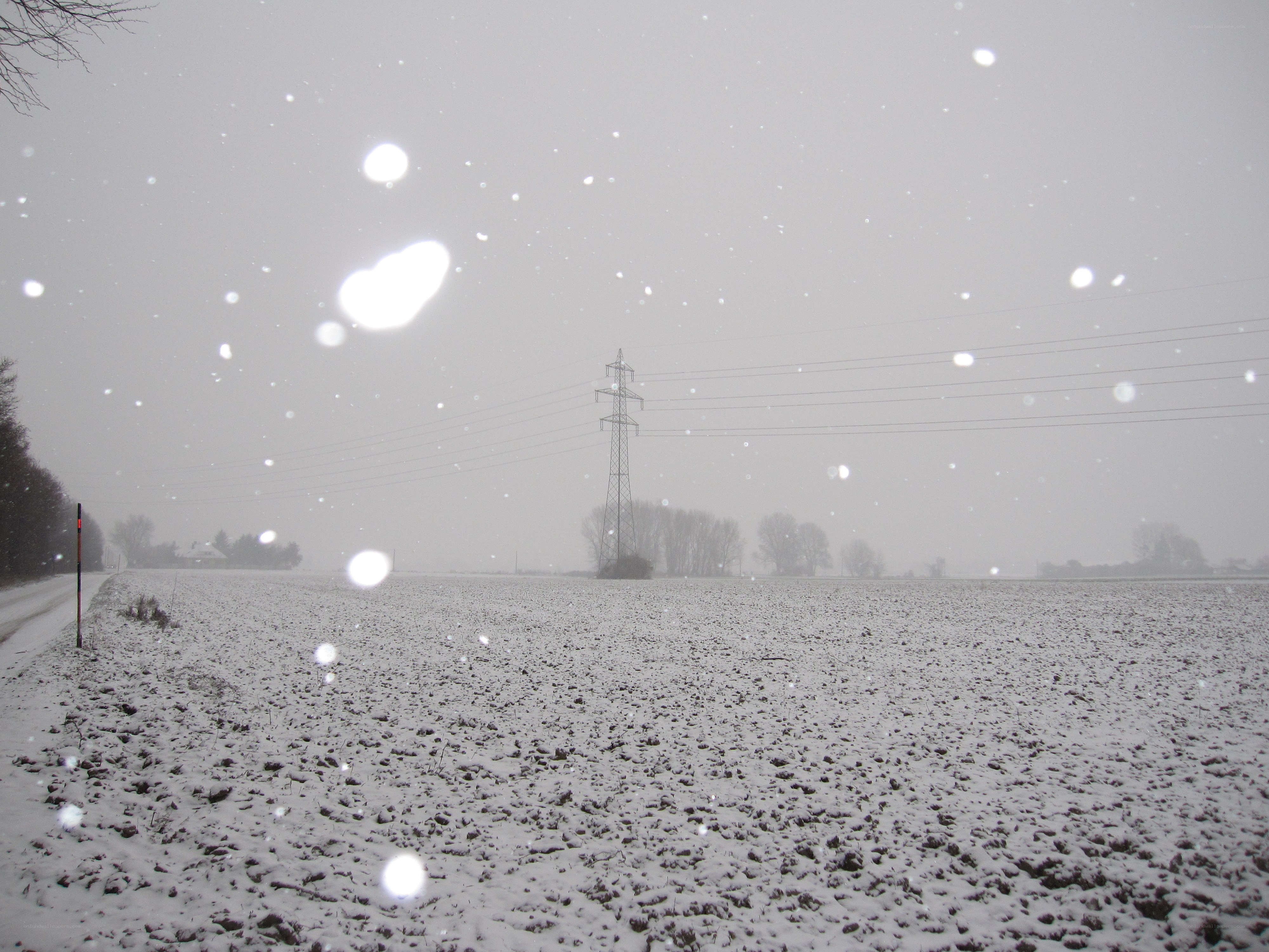 Snowy field with power lines