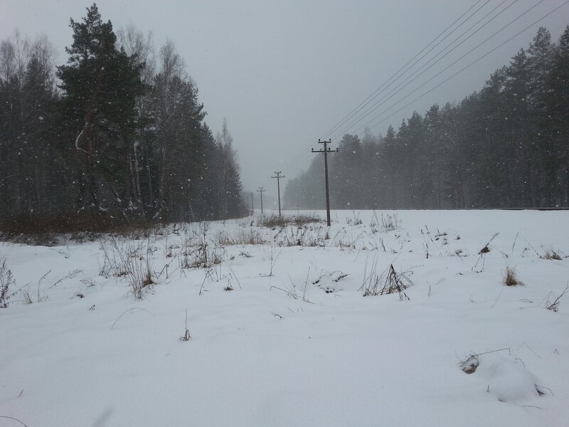 Snowy Field with Power Lines — White