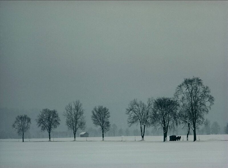 Snowy field with trees