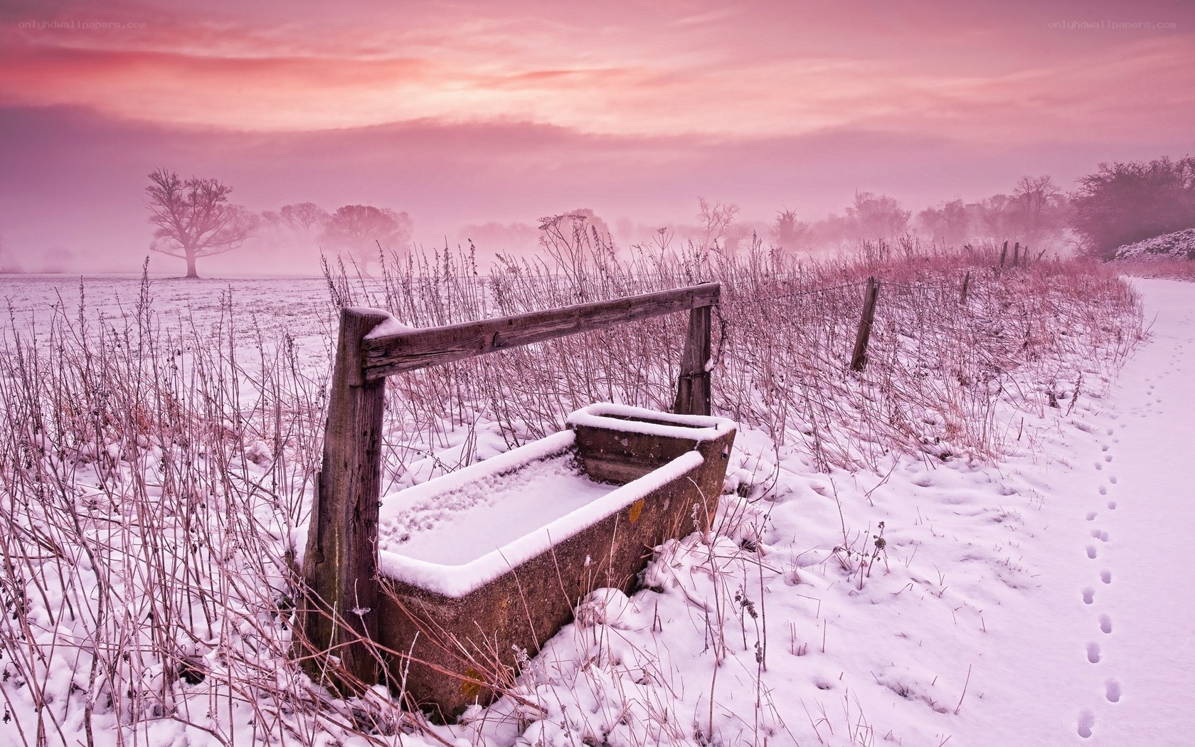 Snowy field with water trough
