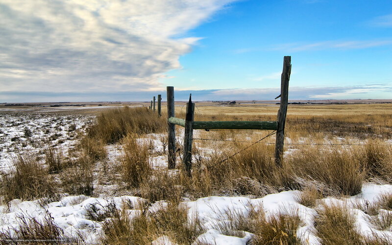 Snowy field with wooden fence