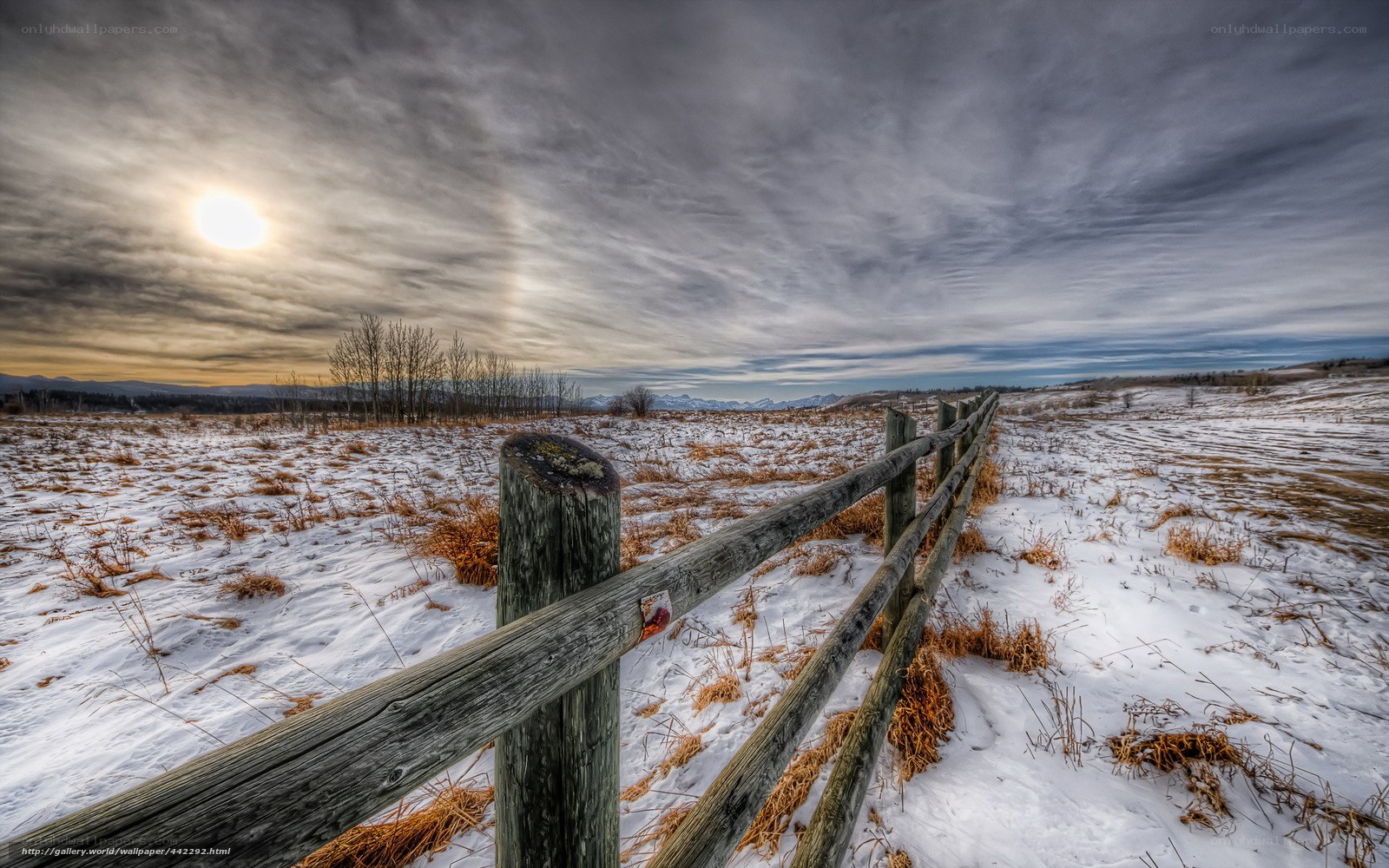 Snowy field with wooden fence