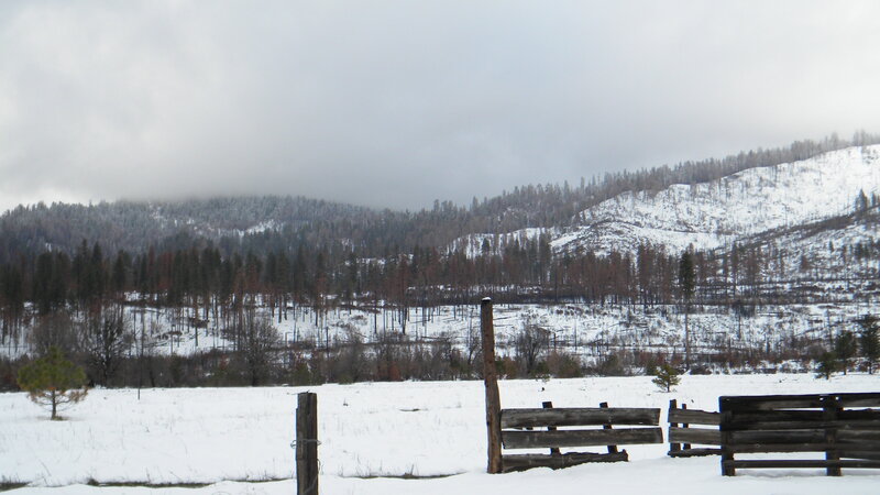 snowy field with wooden fence