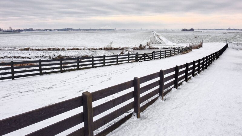 Snowy field with wooden fence