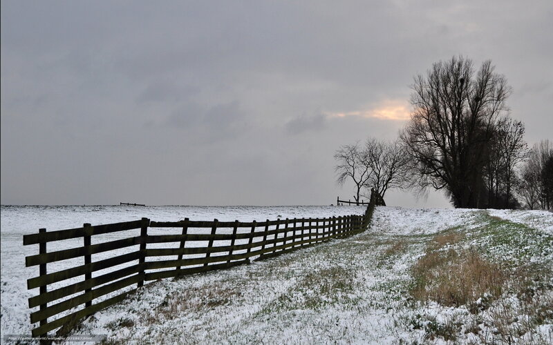 Snowy field with wooden fence