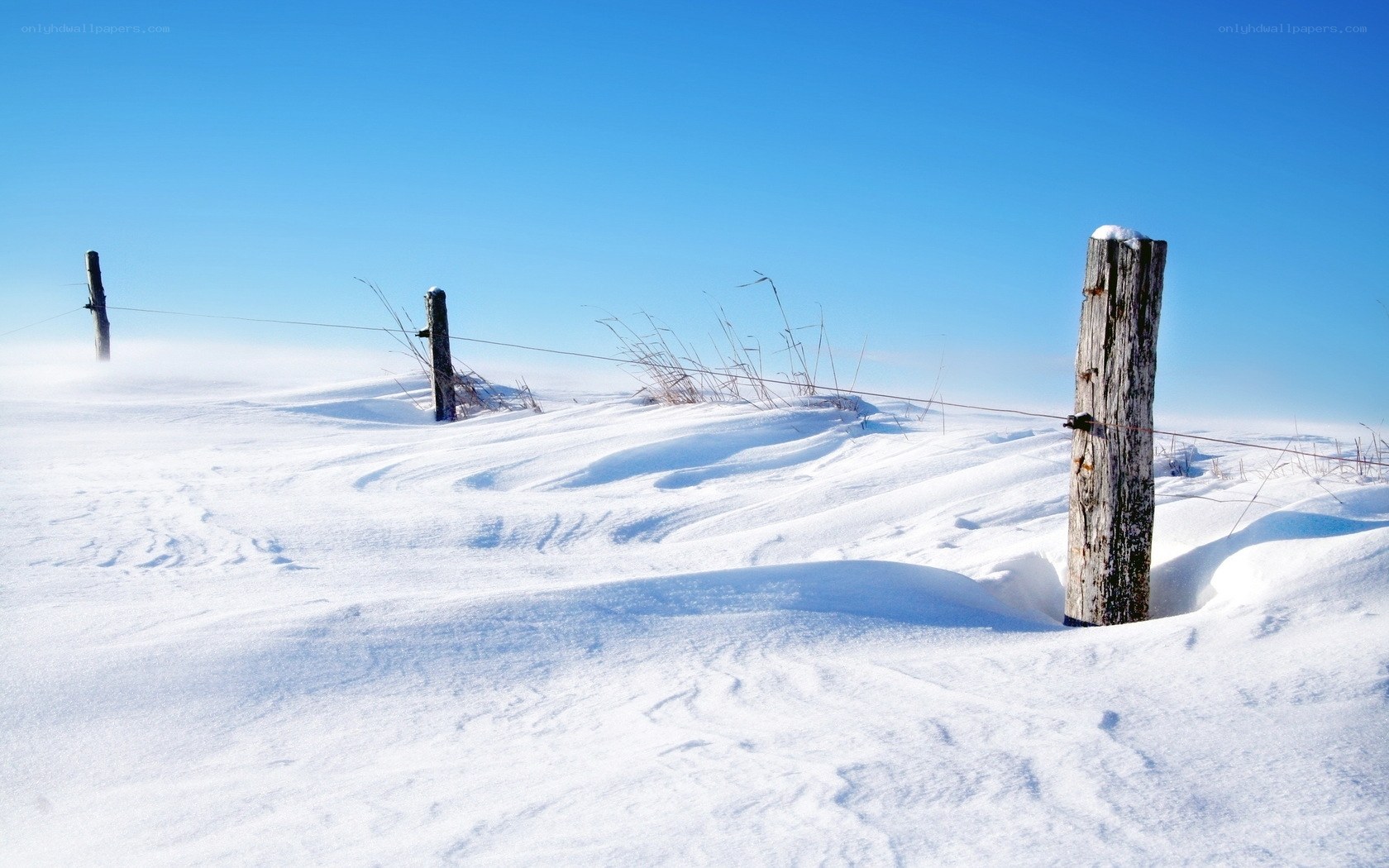 Snowy field with wooden posts