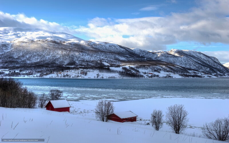 Snowy fjord with red cabins