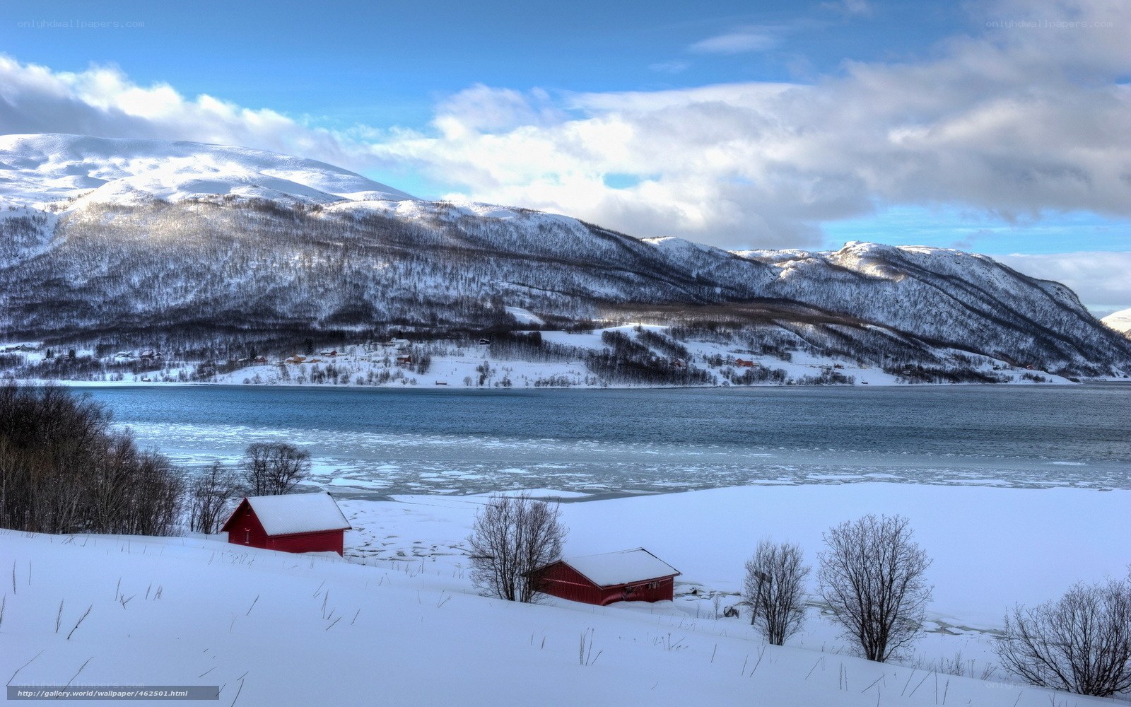 Snowy fjord with red cabins