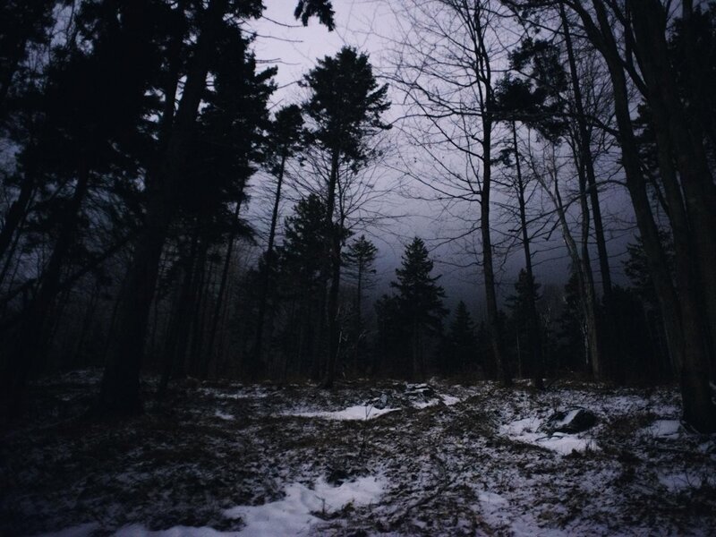 Snowy Forest at Dusk — Dark Blue