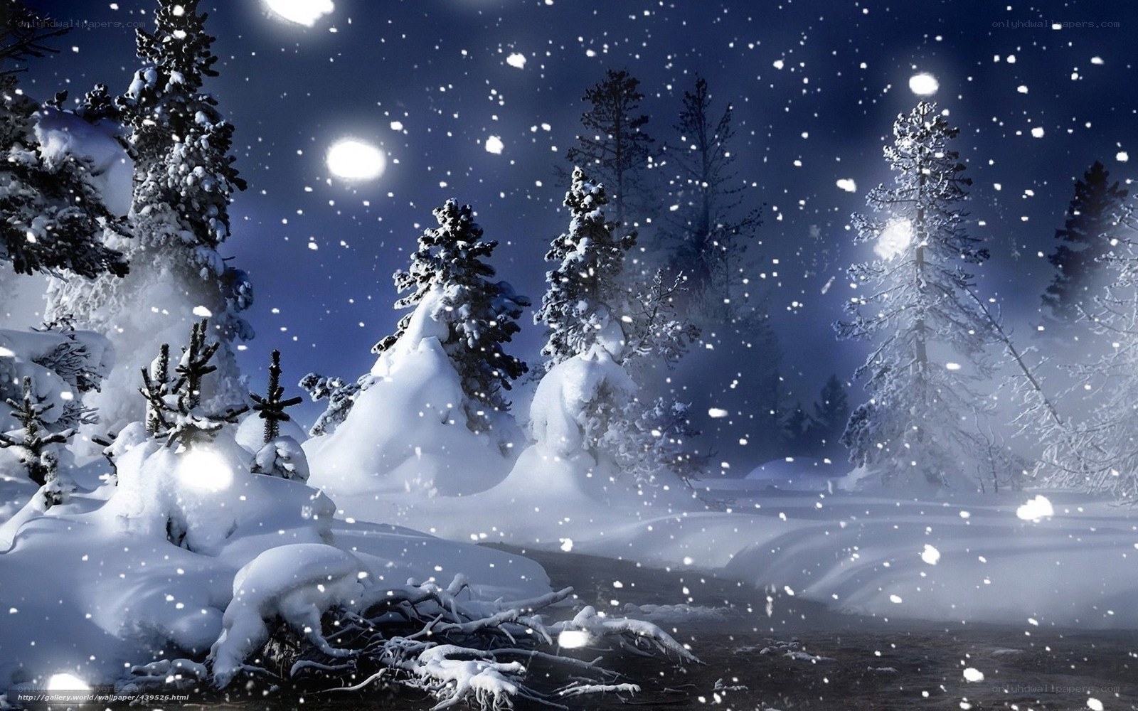 Snowy forest at night