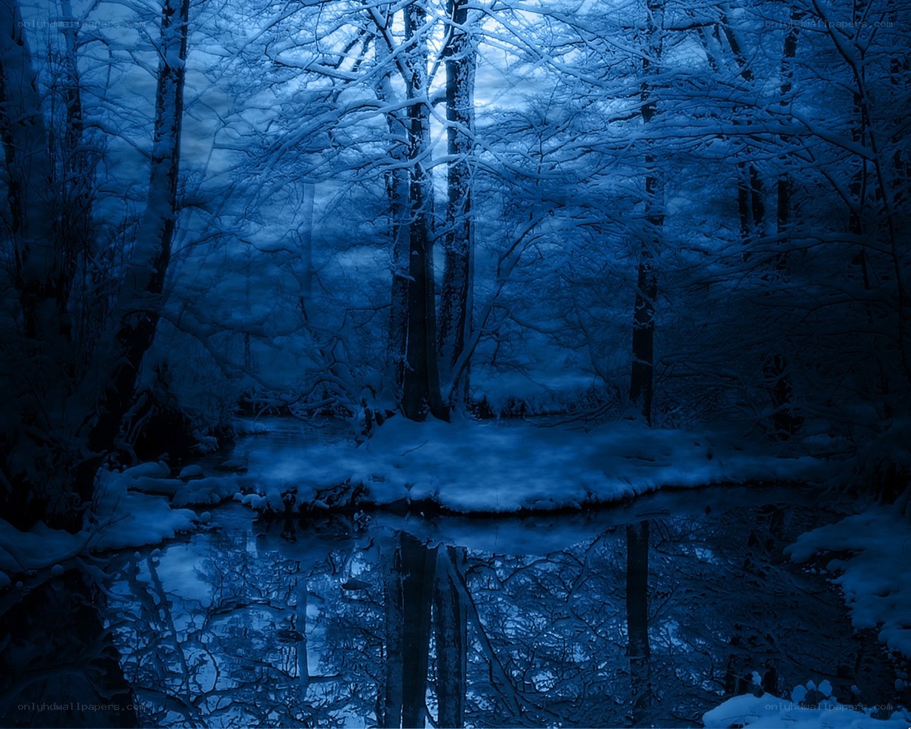 snowy forest at night