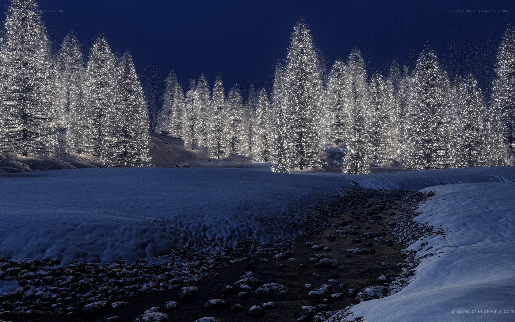 Snowy forest at night