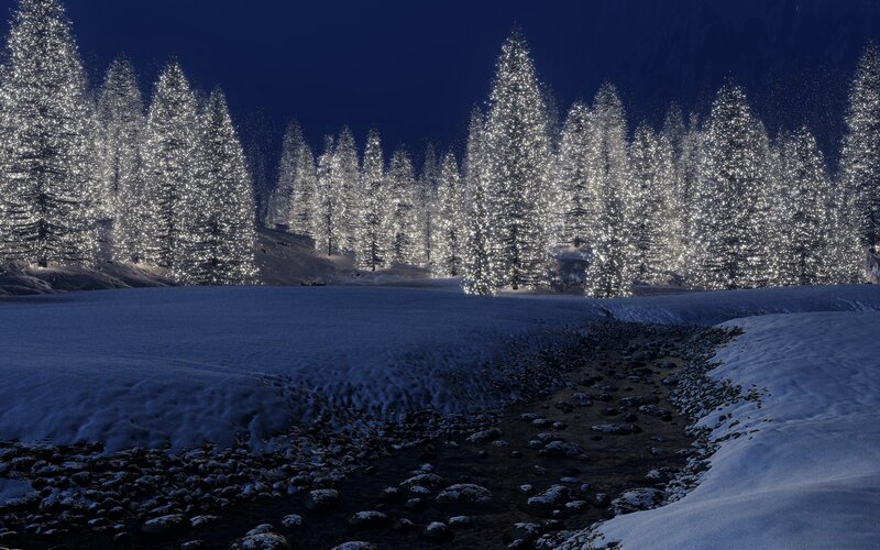 snowy forest at night