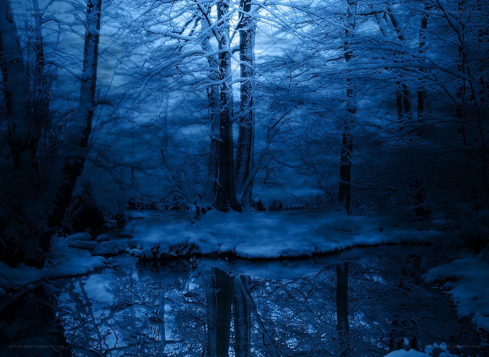Snowy forest at night