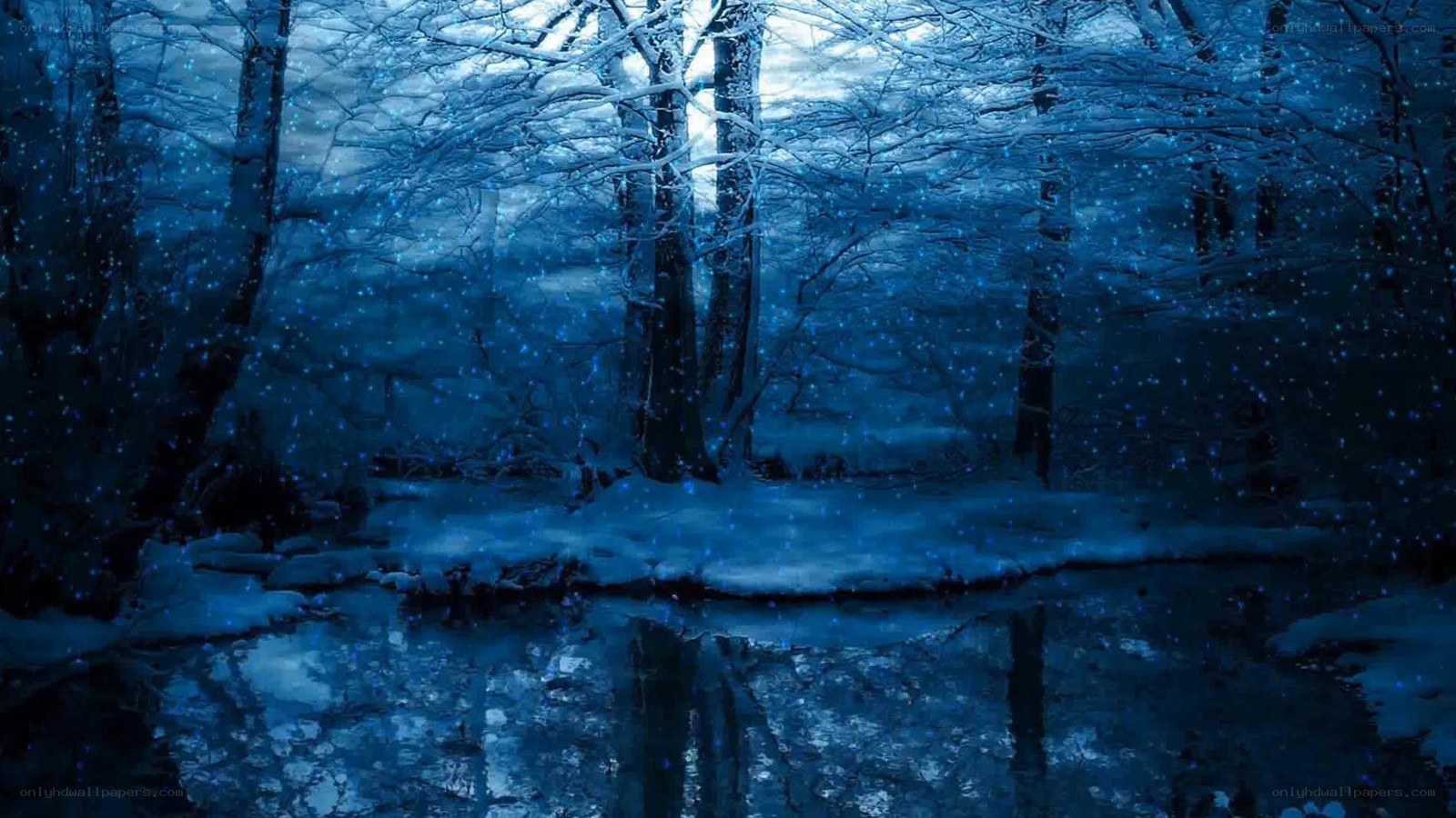 snowy forest at night