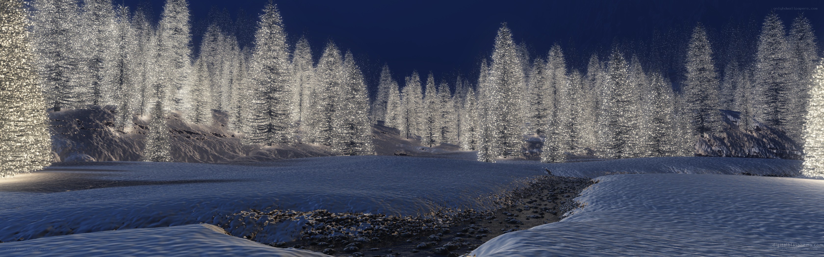 snowy forest at night