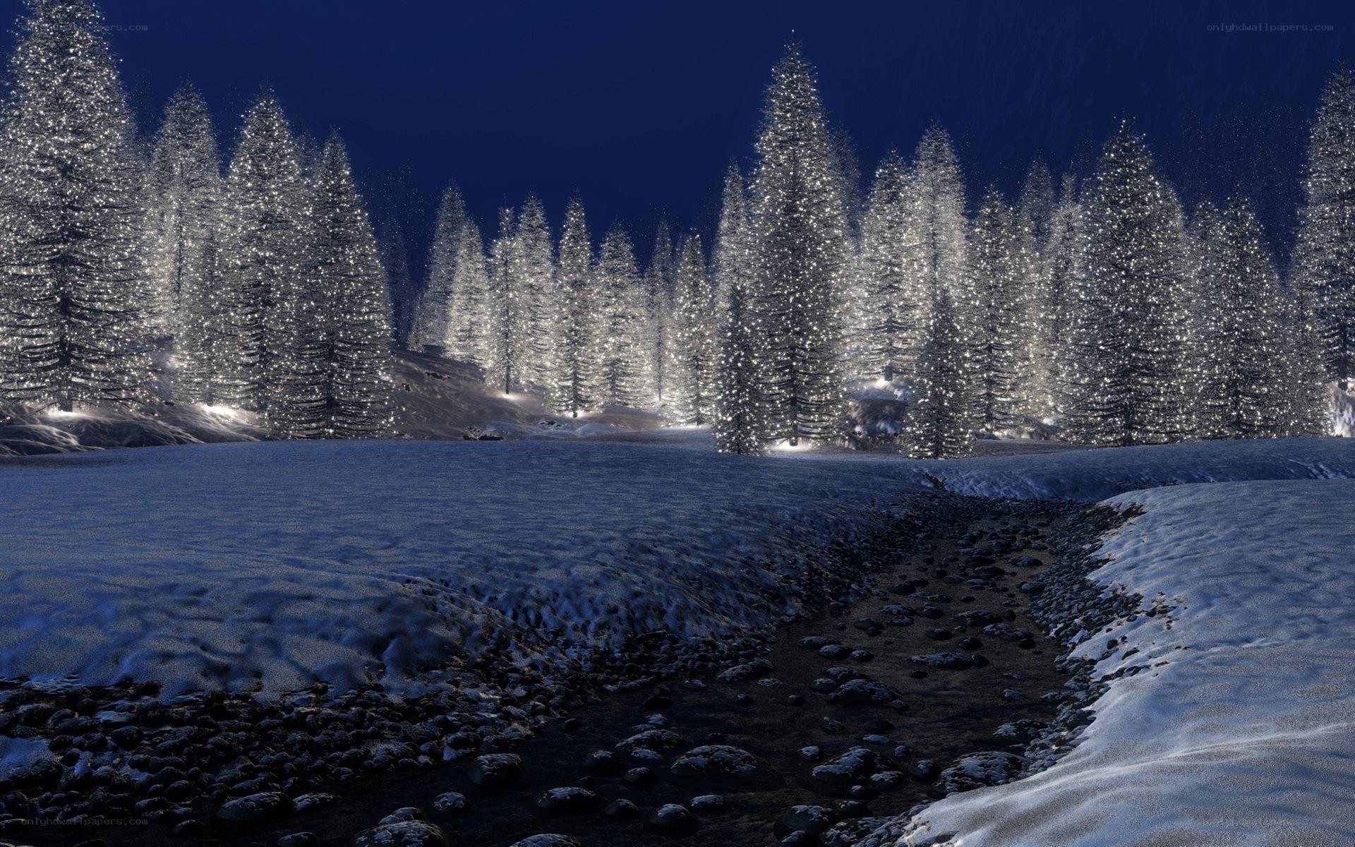 snowy forest at night