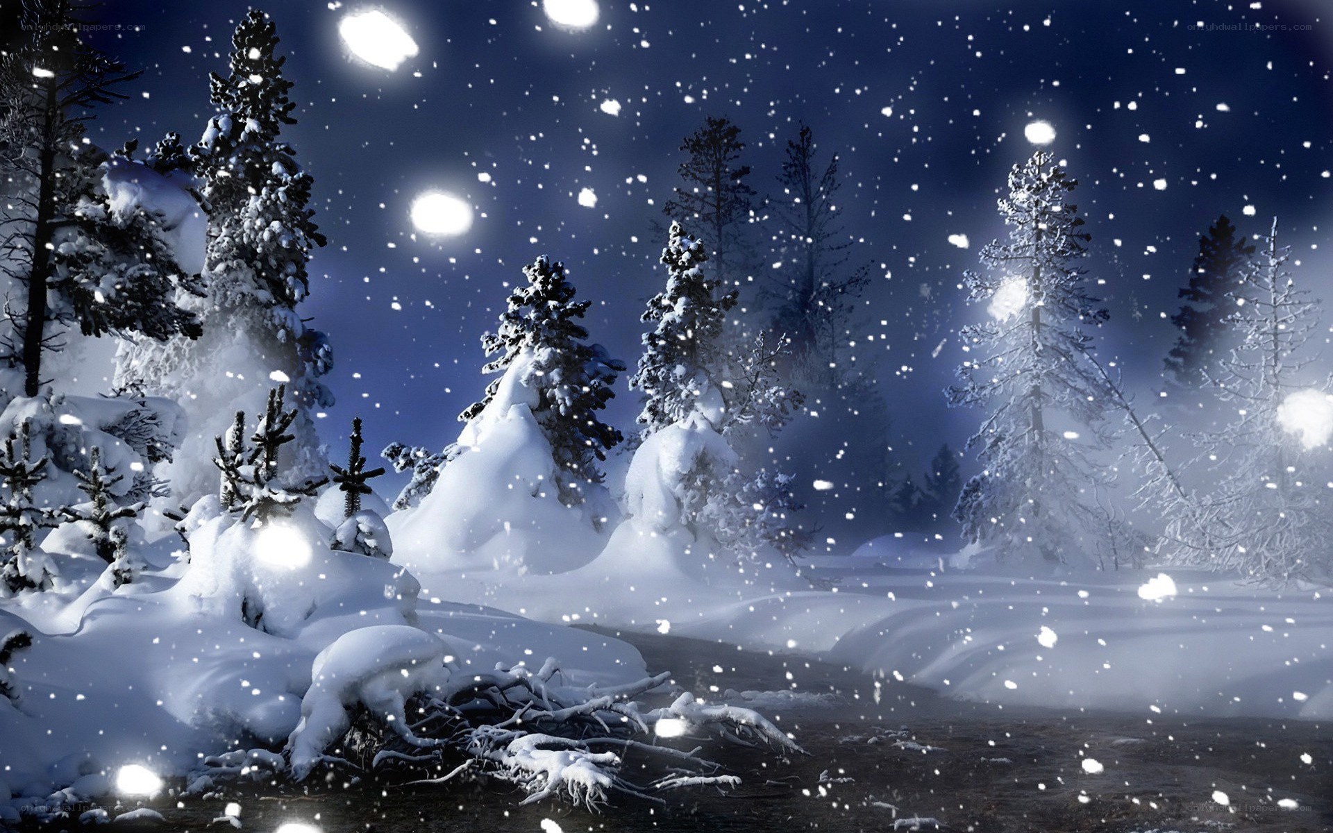 Snowy forest at night