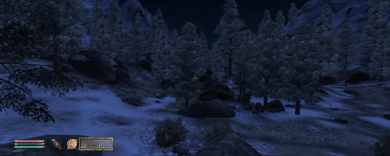 snowy forest at night