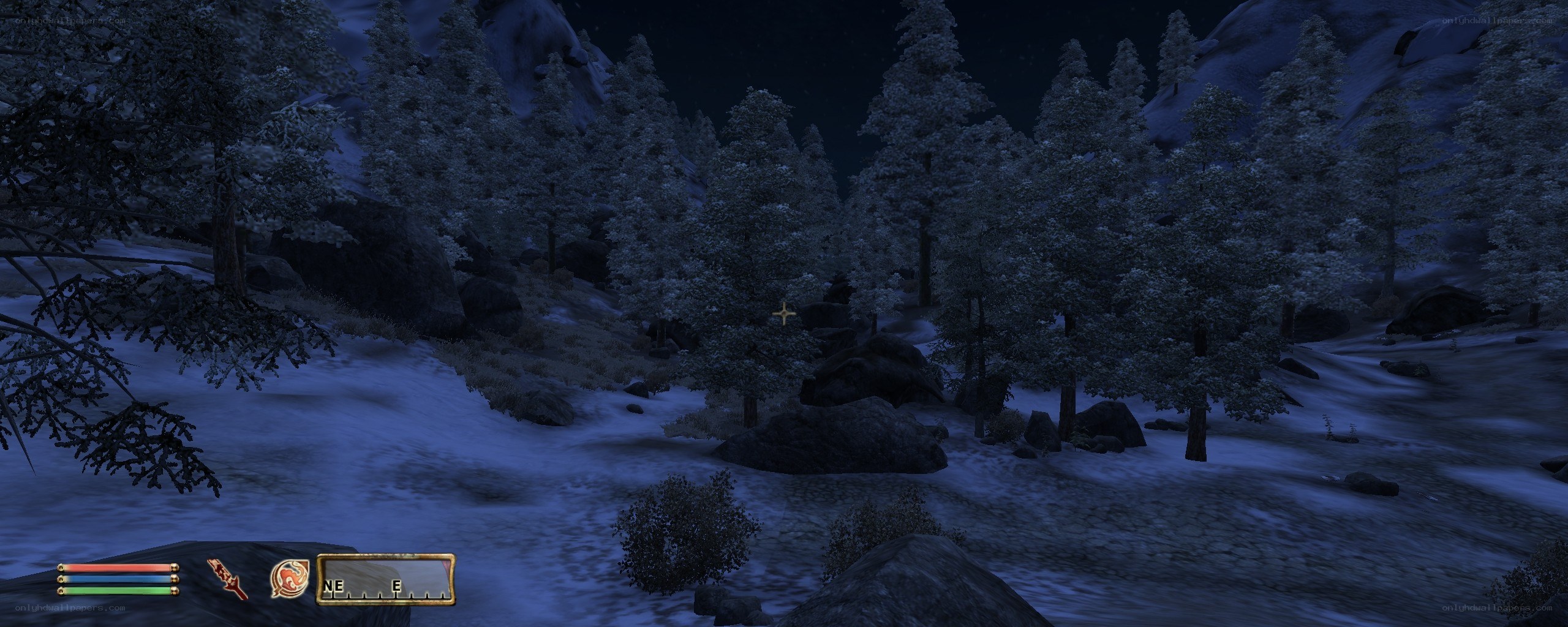 snowy forest at night