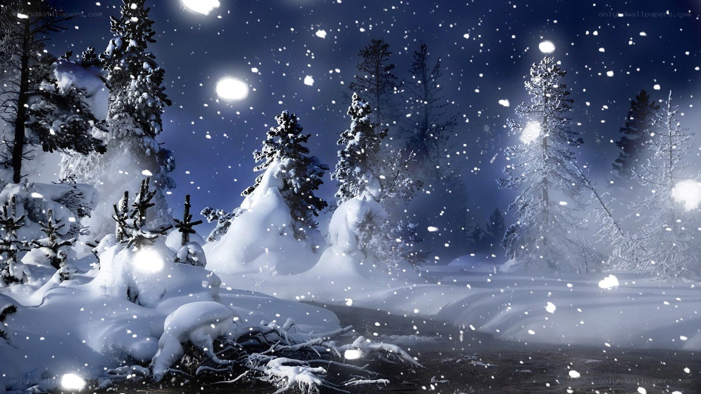 snowy forest at night