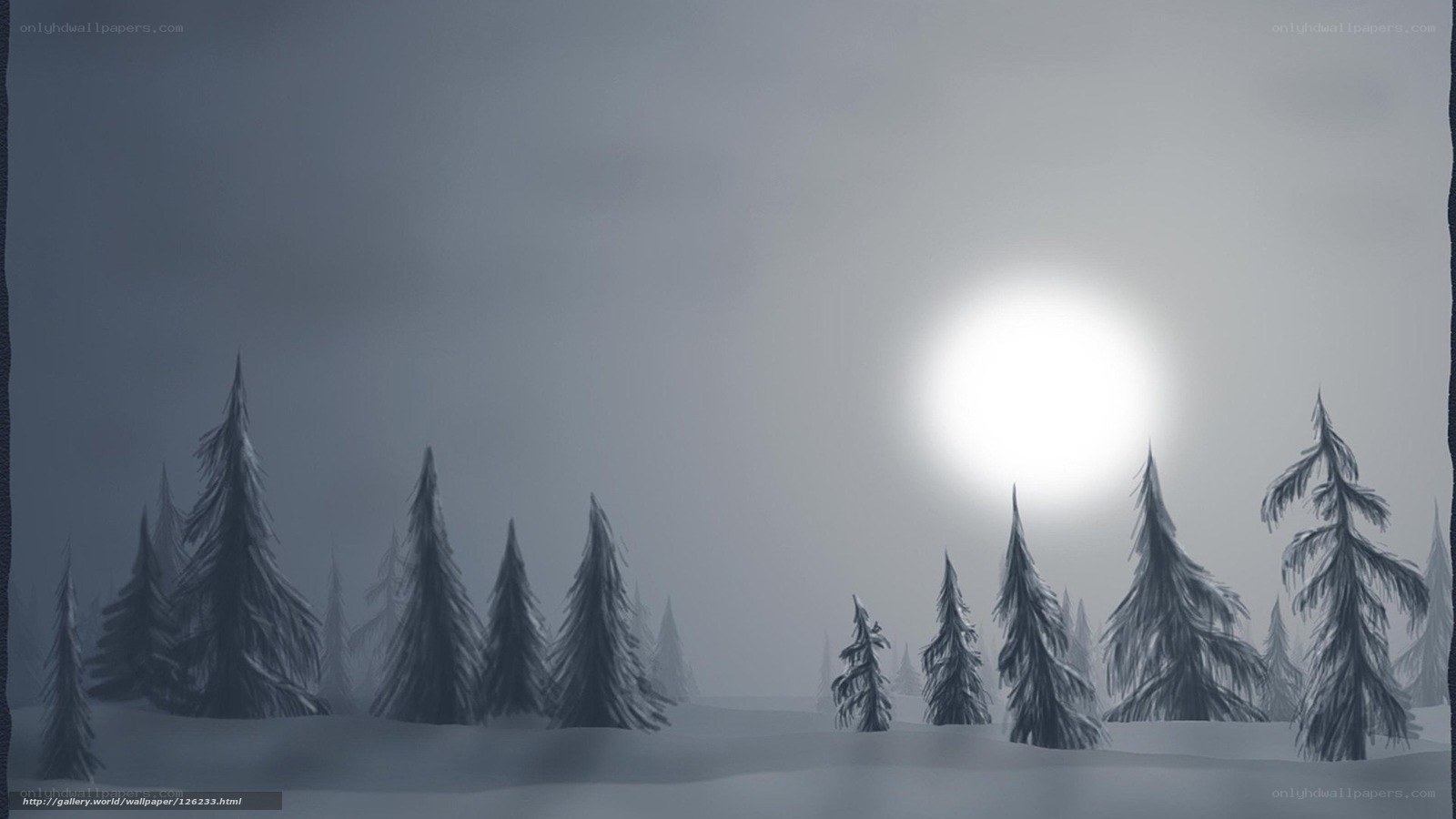 Snowy forest at night