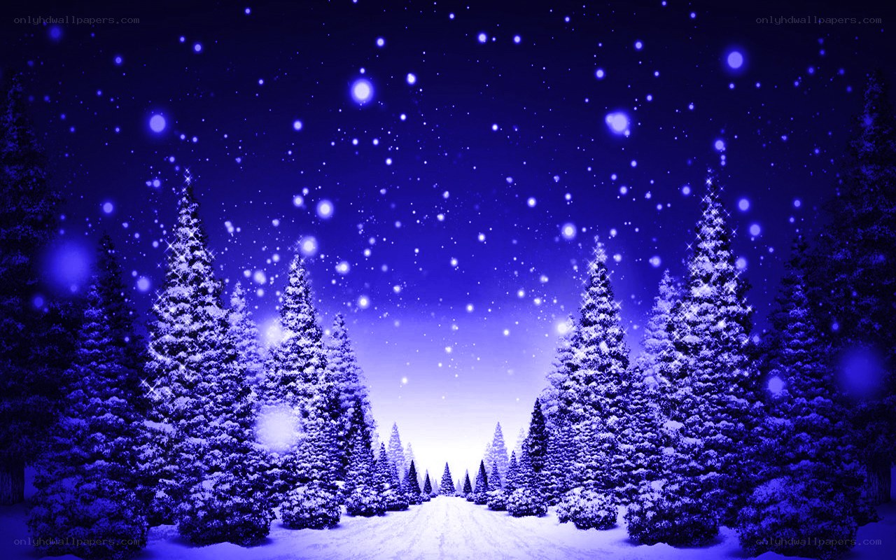snowy forest at night