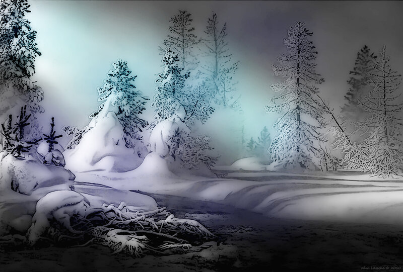 Snowy forest at night