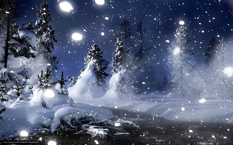 Snowy forest at night