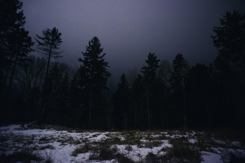 Snowy Forest at Night — Black, Dark, Somber