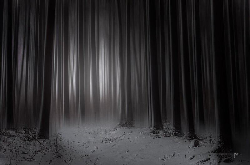 Snowy Forest at Night — Black, Dark