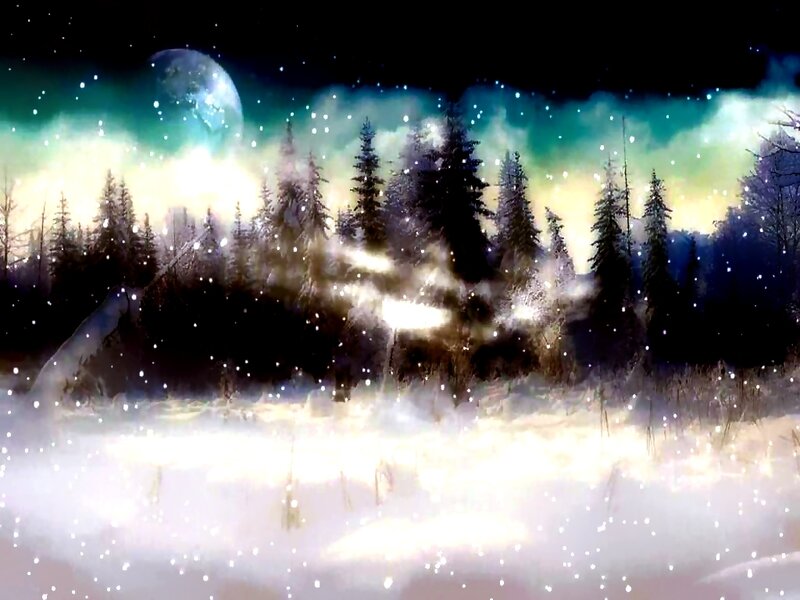 Snowy Forest at Night — Black