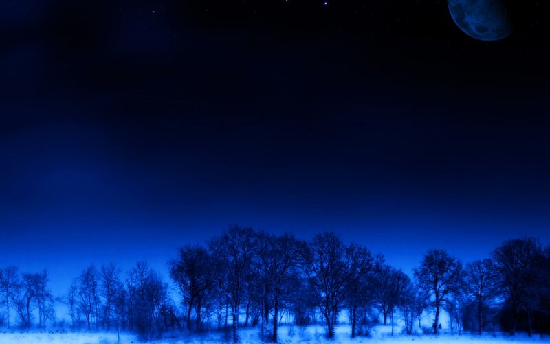 Snowy Forest at Night — Blue, Serene, Digital Art, Moon, Trees