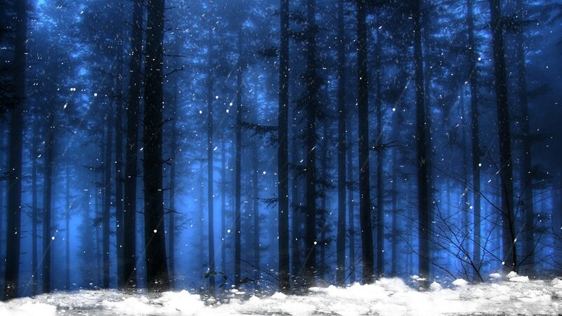 Snowy Forest at Night — Blue, Serene, Winter