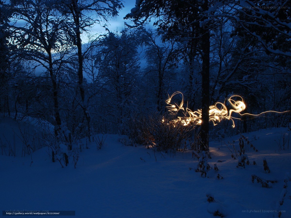 Snowy forest at night with light trails