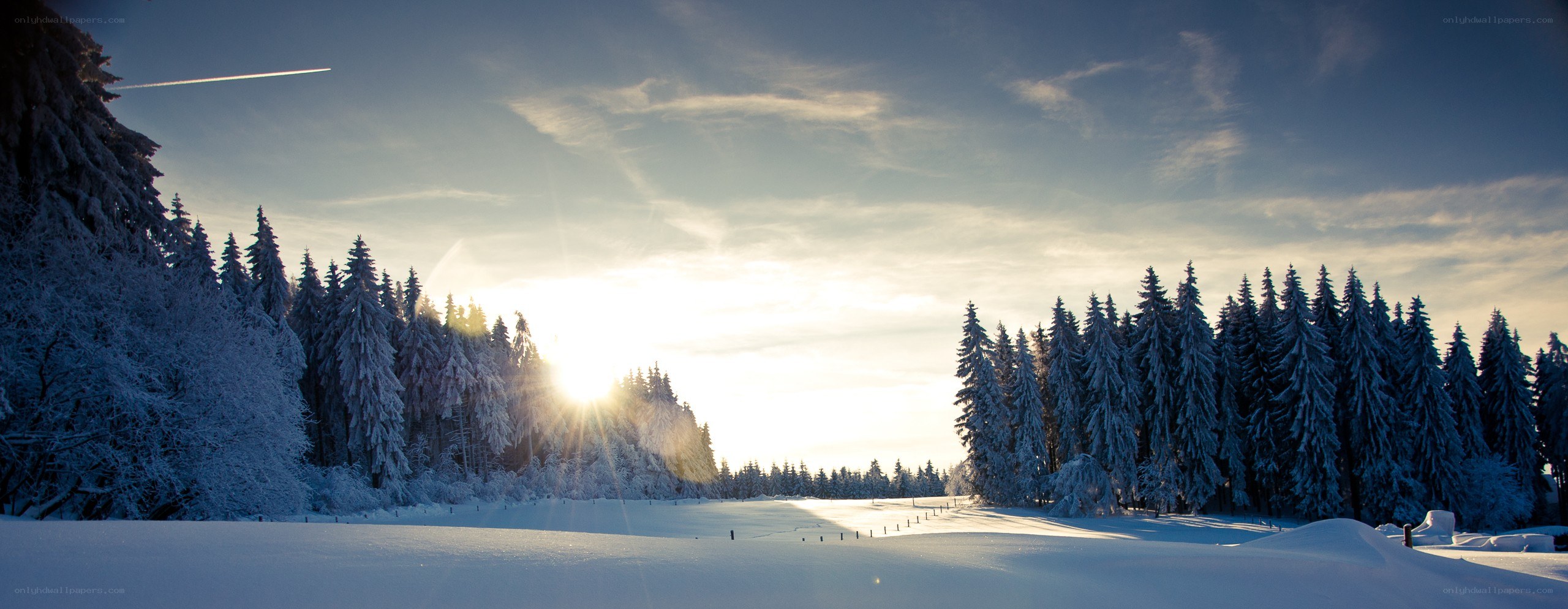 Snowy forest at sunrise