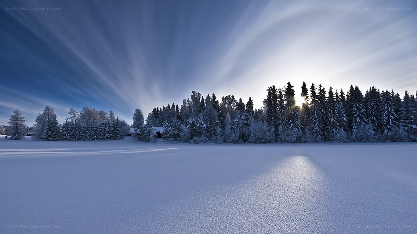 Snowy forest at sunrise