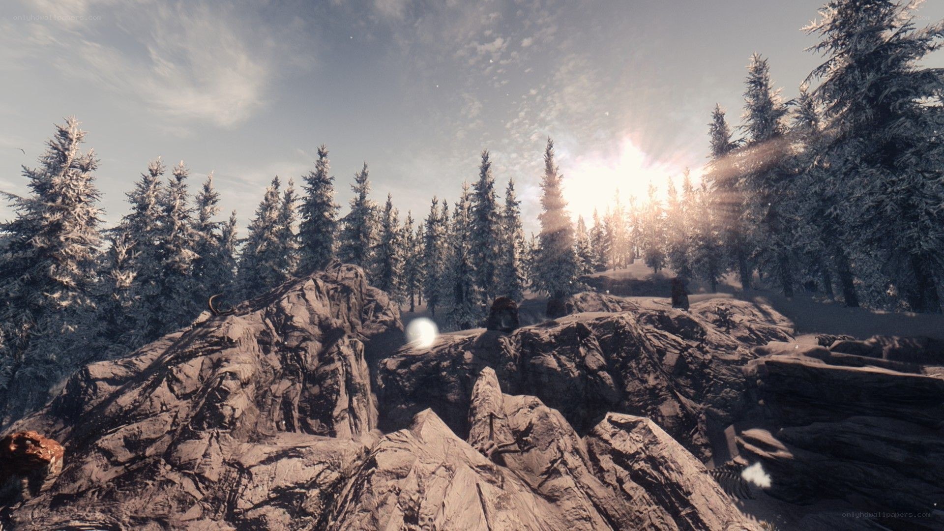 snowy forest at sunrise