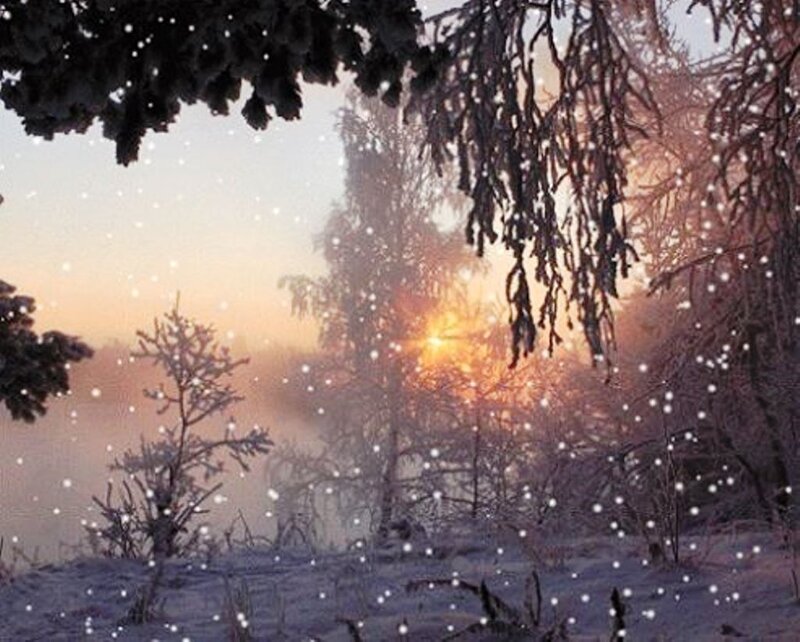 Snowy Forest at Sunrise — White