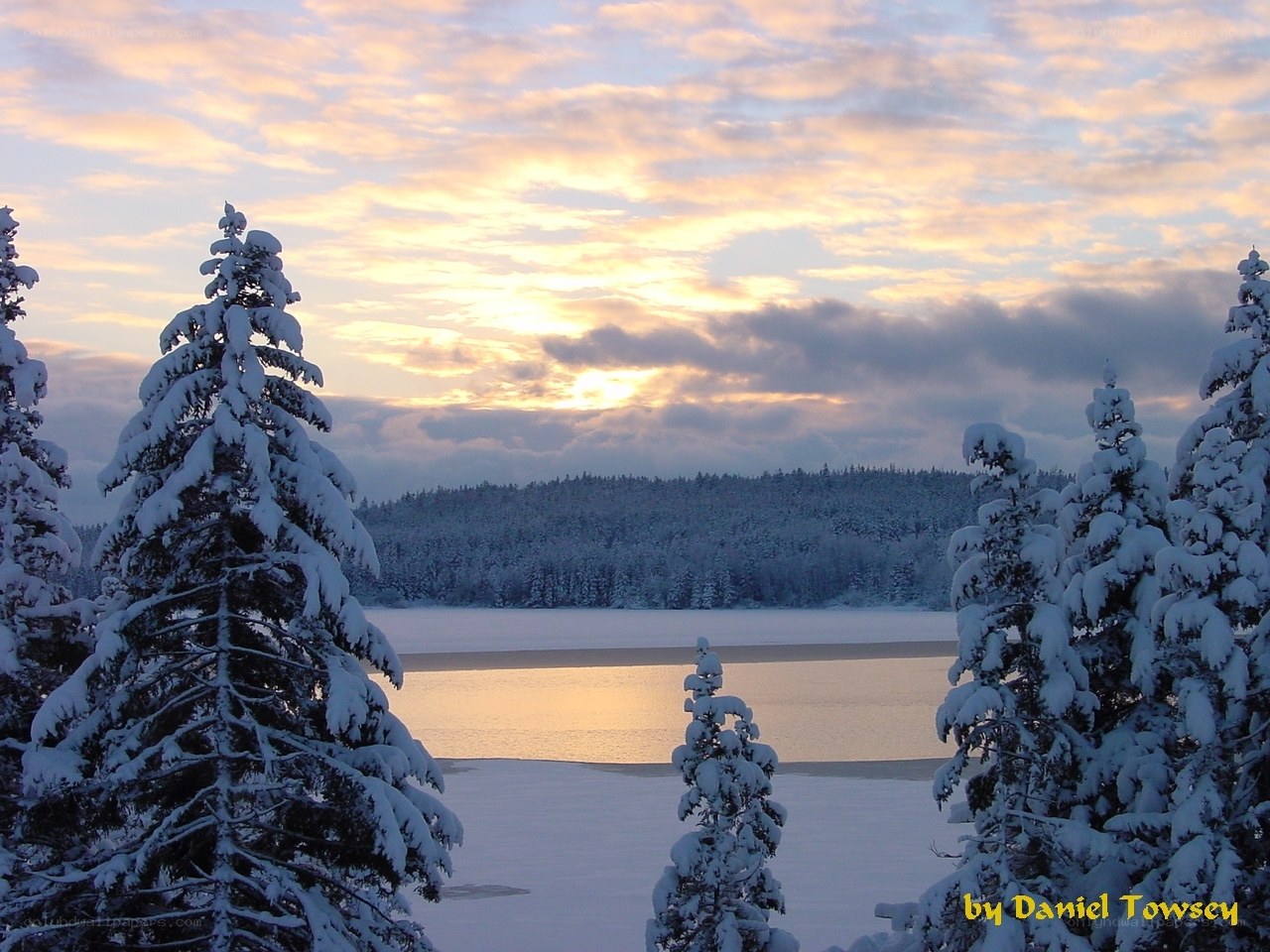 Snowy forest at sunset