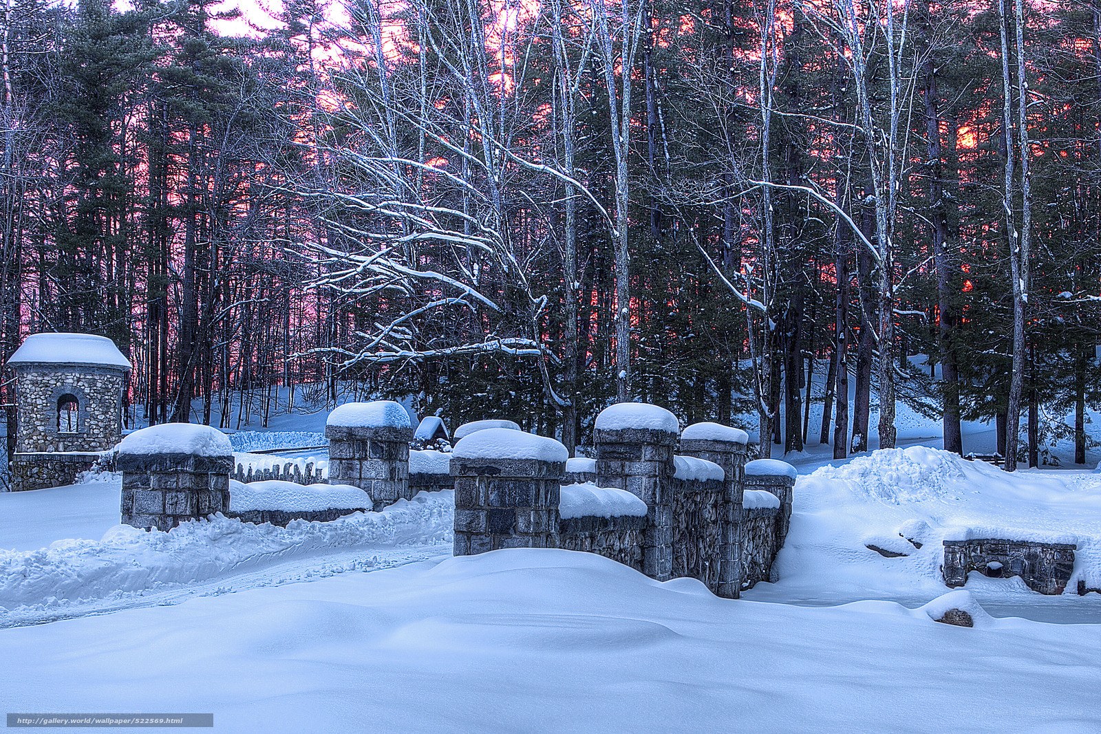 Snowy forest at sunset