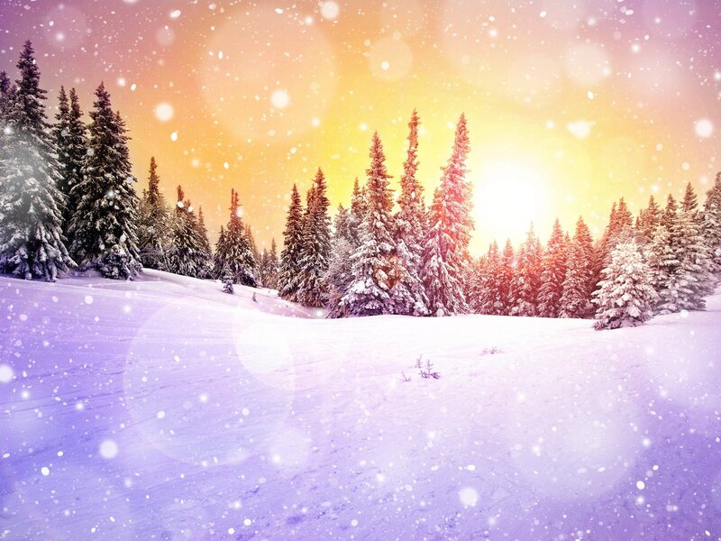 Snowy forest at sunset